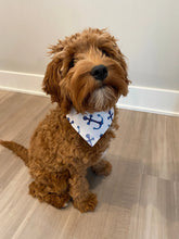 Load image into Gallery viewer, Anchor Doggy Bandana
